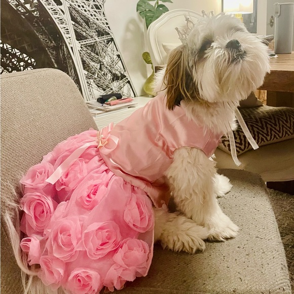 Doggy Princess Dress - Picture 3 of 3